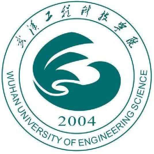 武汉工程科技学院